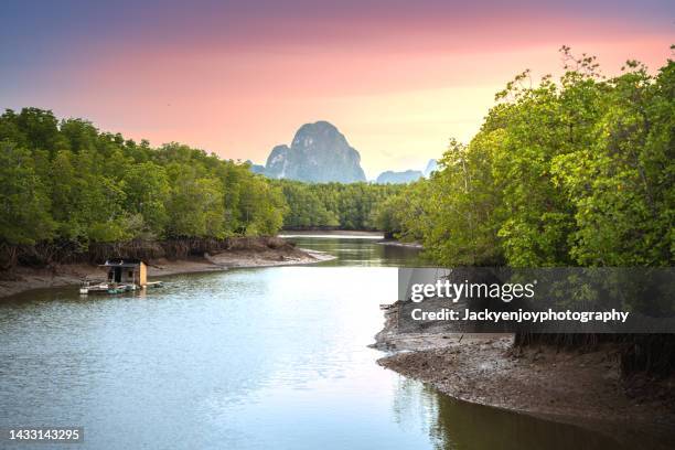 aerial view of river and karst peaks, phang nga bay, thailand - provincia di phang nga foto e immagini stock