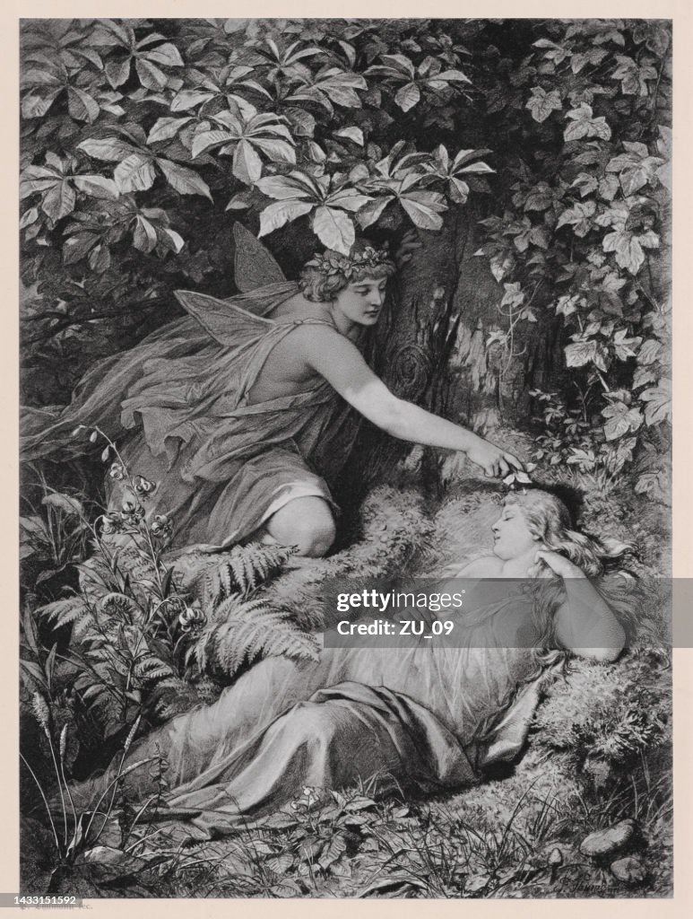 A Midsummer Nights Dream By William Shakespeare Published In 1886 High ...