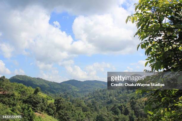 hilly landscape, wooded hills in countryside - akha stock pictures, royalty-free photos & images