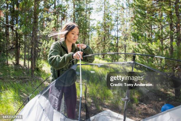 young woman setting up her tent in forest campground - installation art stock-fotos und bilder