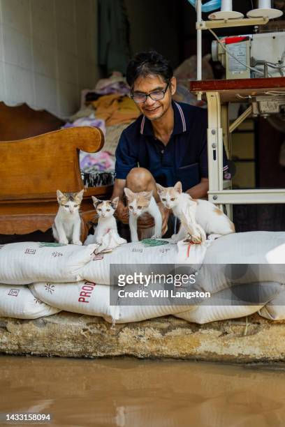 flood thailand man with cats sandbags rain chiang mai, thailand - sandbag stock pictures, royalty-free photos & images