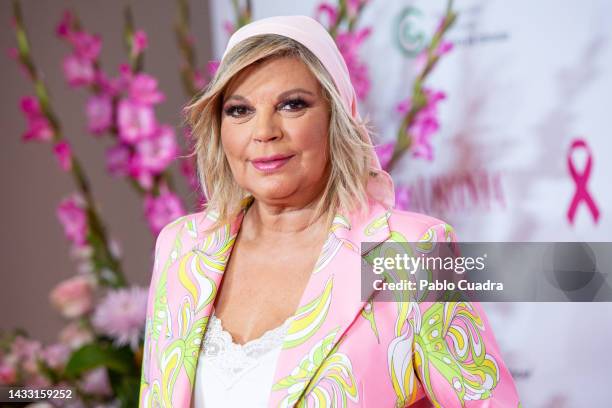 Terelu Campos attends the "15 Años Mas Cerca" AECC and Ausonia campaign presentation at the Spanish Association Against Cancer headquarters on...