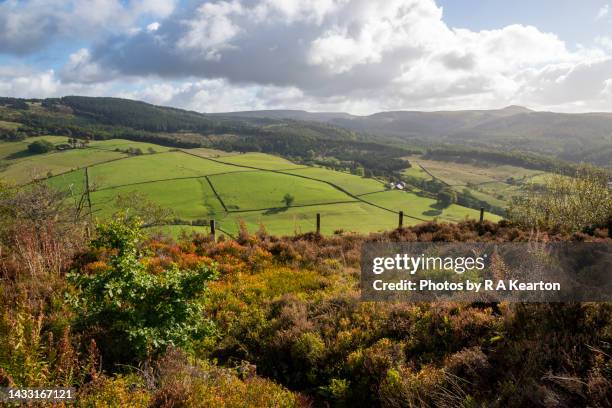 view of macclesfield forest from tegg's nose, cheshire, england. - macclesfield stock pictures, royalty-free photos & images