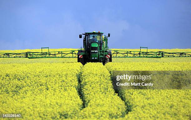 Farmers sprays rapeseed as it blooms in a field close to the ancient monument of Stonehenge, on April 24, 2012 near Amesbury, England. The vibrant...