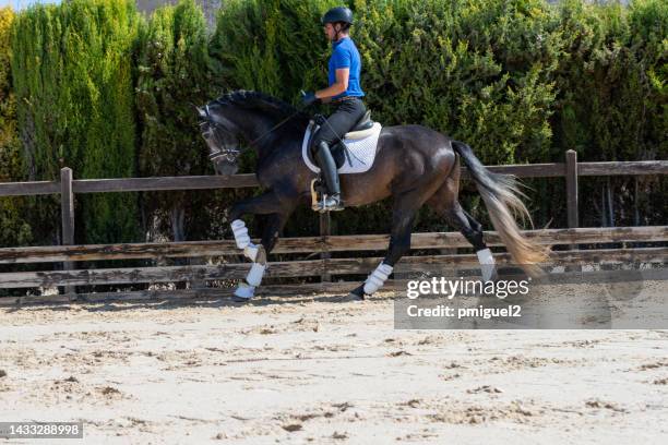 young jockey in a riding lesson on a beautiful thoroughbred horse. - zadel stockfoto's en -beelden