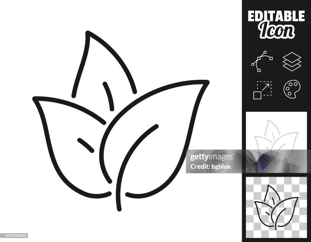 Tea leaves. Icon for design. Easily editable