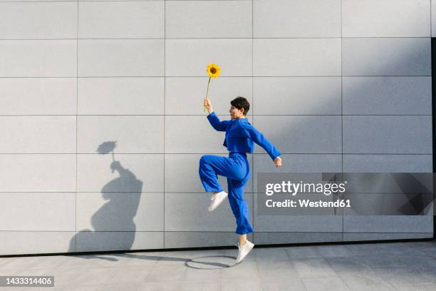 woman with sunflower jumping in front of wall on sunny day - happy sunflower stock pictures, royalty-free photos & images