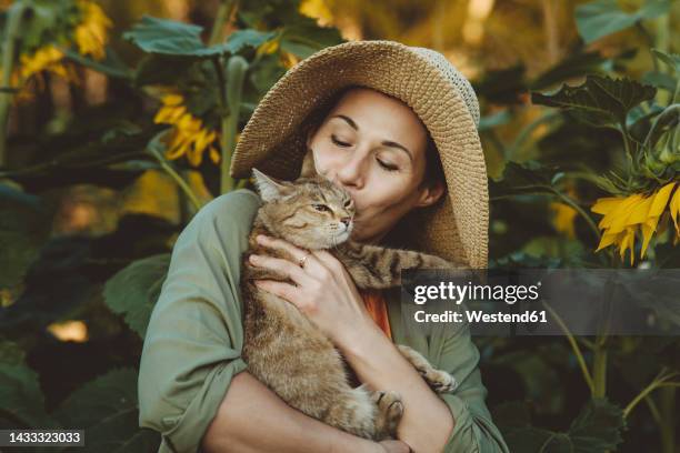 mature woman kissing tabby cat in garden - cats kissing stock pictures, royalty-free photos & images