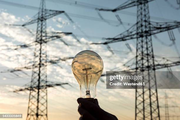 woman's hand holding light bulb in front of electricity pylons - hände glühlampe stock-fotos und bilder