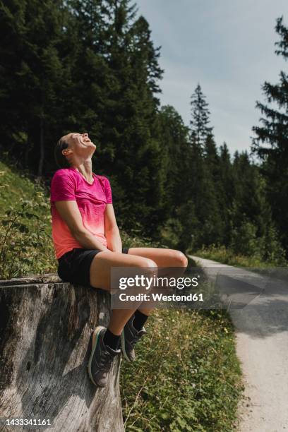 happy hiker sitting on tree stump in forest - stronk stockfoto's en -beelden