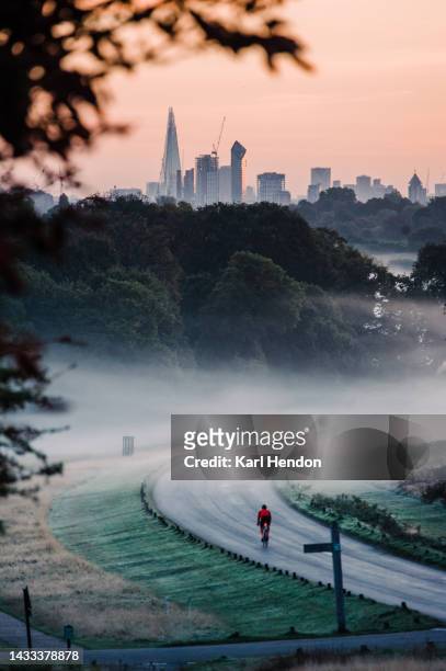 autumn misty sunrise in a london park - richmond park london stock pictures, royalty-free photos & images