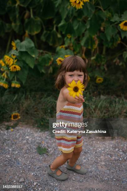 a colorful picture of a toddler girl handing a  yellow flower - colorful vegetables summer stock-fotos und bilder