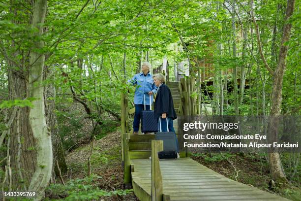 senior lesbian couple arriving at log cabin - log steps stock pictures, royalty-free photos & images