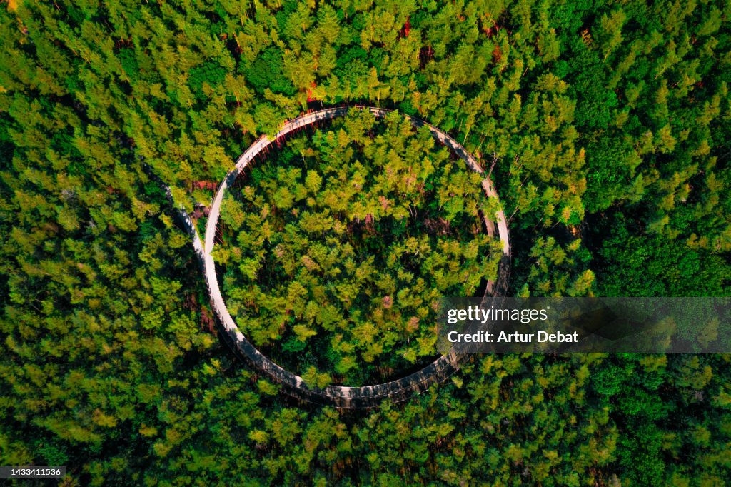 Aerial view of elevated bicycle lane between the tree top with circle shape in the middle of Belgium forest.