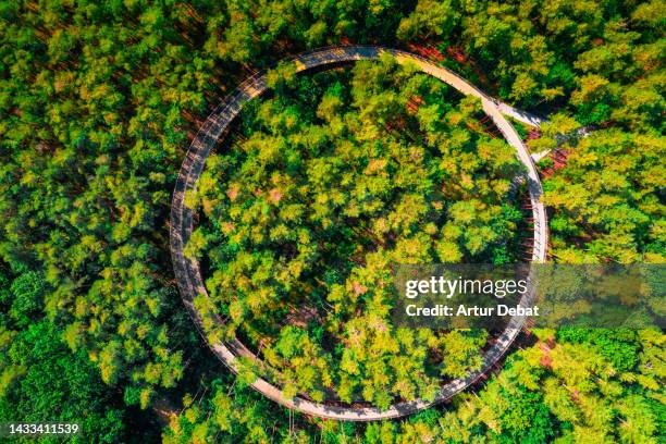 aerial view of elevated bicycle lane between the tree top with circle shape in a unique experience in belgium. - belgium aerial stockfoto's en -beelden