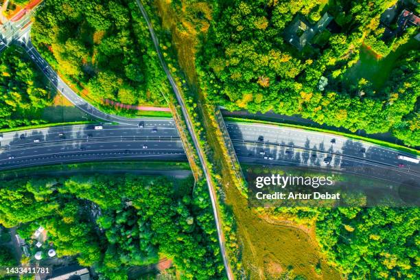 aerial directly above view of green bridge ecoduct for fauna crossing above highway in the western europe. - wildlife corridor stock pictures, royalty-free photos & images