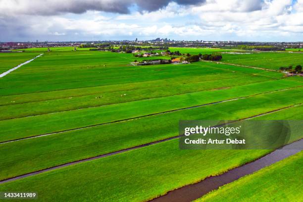 aerial view of the rural netherlands with green agriculture patchwork landscape and canals. - 荷蘭北部 個照片及圖片檔