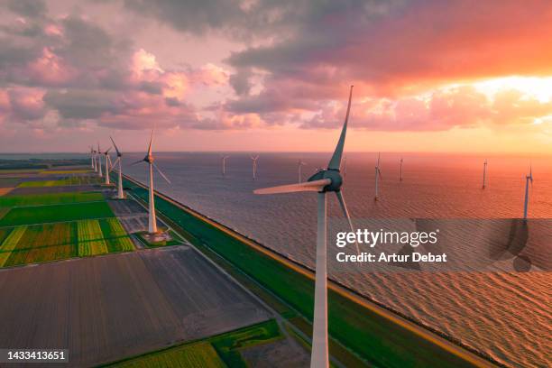 aerial view of offshore wind park with patchwork landscape in the netherlands with dramatic sunset. - dutch windmill bildbanksfoton och bilder