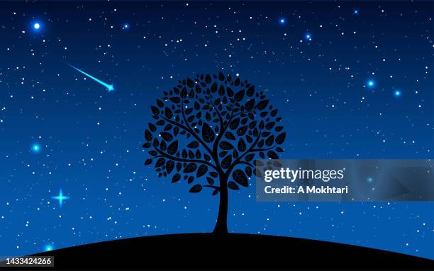 tree in the starry sky. - simple tree silhouette stock illustrations
