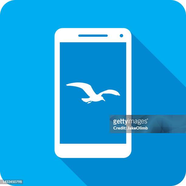 seagull smartphone icon silhouette 2 - animals with webbed feet stock illustrations