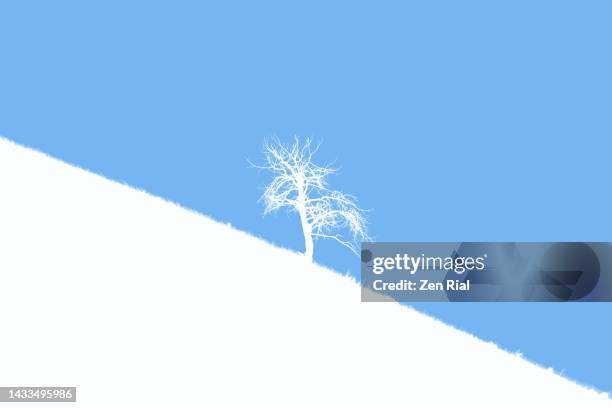 color converted- lone tree on a slope in white against blue background - single tree stock pictures, royalty-free photos & images