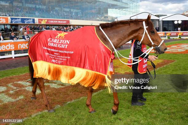 Durston after winning Race 9, the Carlton Draught Caulfield Cup, during Caulfield Cup Day at Caulfield Racecourse on October 15, 2022 in Melbourne,...