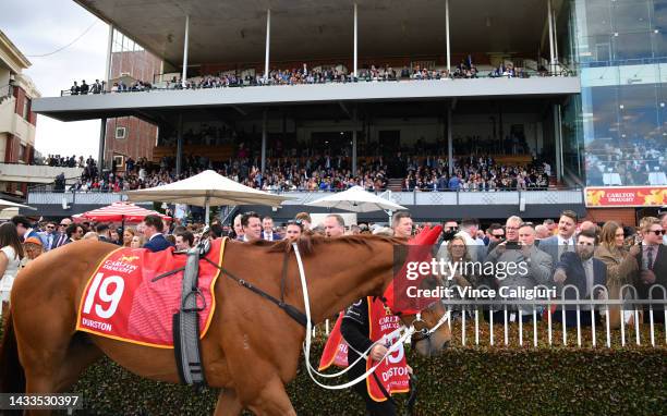 Durston is seen before winning Race 9, the Carlton Draught Caulfield Cup, during Caulfield Cup Day at Caulfield Racecourse on October 15, 2022 in...