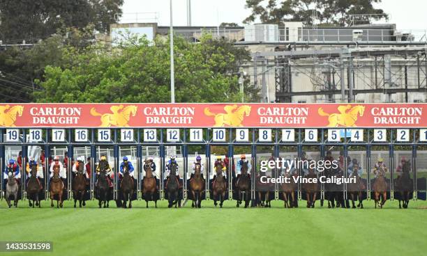 Michael Dee riding Durston out of barrier 7 before winning Race 9, the Carlton Draught Caulfield Cup, during Caulfield Cup Day at Caulfield...