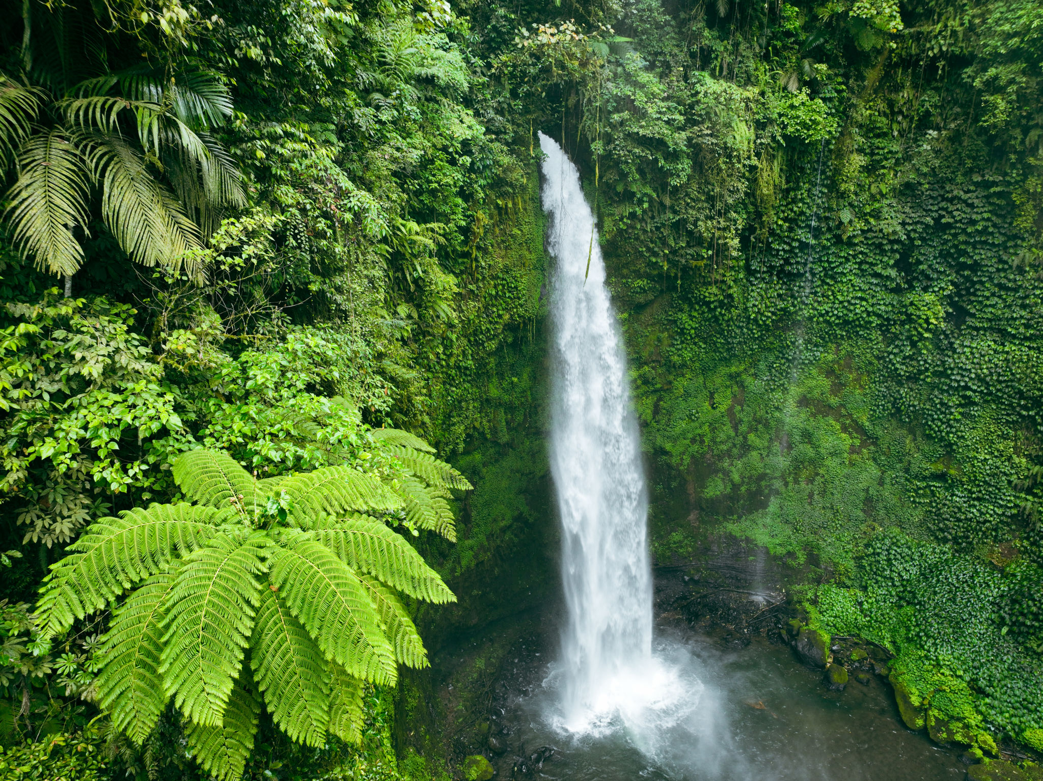 bali waterfall