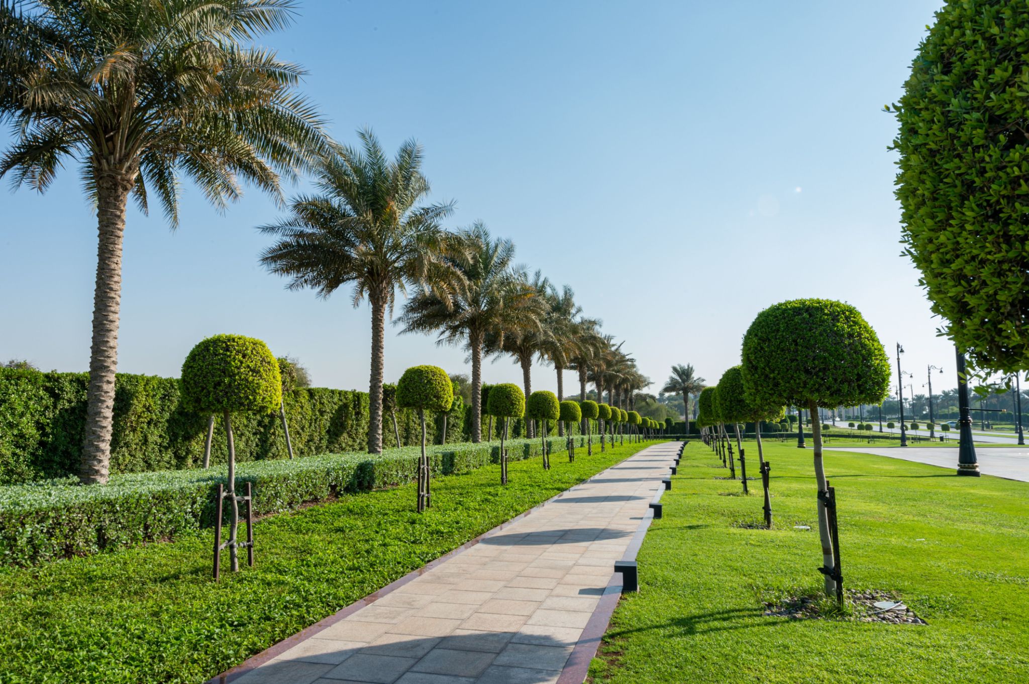 park tour Dubai