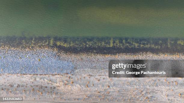 top down aerial photo of coastline on the artificial island of ijburg in amsterdam, holland - terra bonificata foto e immagini stock