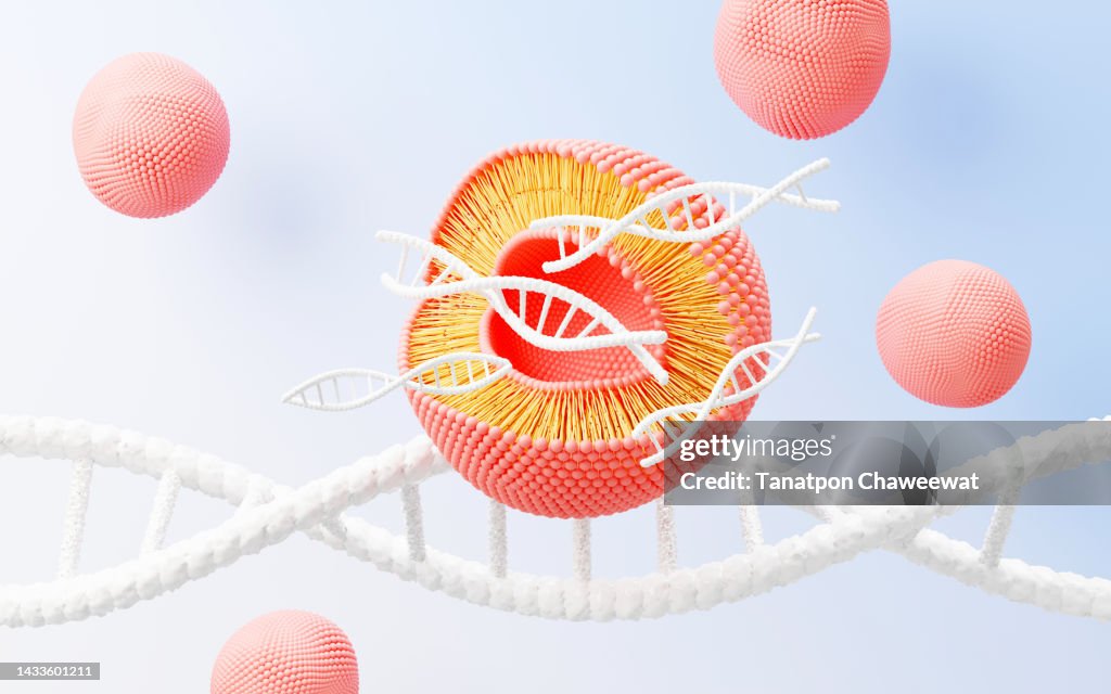 Protein Rendered Cell 3d Render Cell Membrane Phospholipid Bilayer Layers Of Molecules Gene ...