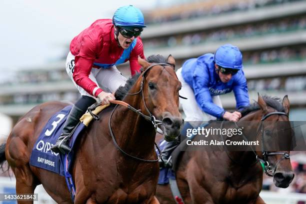 Richard Kingscote shouts as he rides Bay Bridge to win The Qipco Champion Stakes at Ascot Racecourse on October 15, 2022 in Ascot, England.