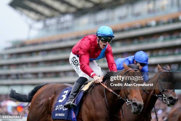 Richard Kingscote shouts as he rides Bay Bridge to win The Qipco Champion Stakes at Ascot Racecourse on October 15, 2022 in Ascot, England.