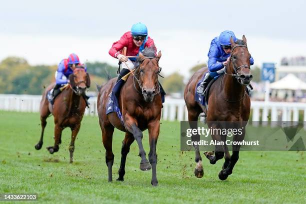 Richard Kingscote riding Bay Bridge win The Qipco Champion Stakes at Ascot Racecourse on October 15, 2022 in Ascot, England.