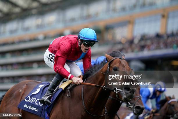 Richard Kingscote shouts as he rides Bay Bridge to win The Qipco Champion Stakes at Ascot Racecourse on October 15, 2022 in Ascot, England.