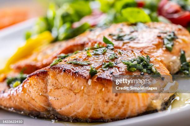 two salmon fillets baked until crispy with parsley herbs, as a side salad marinated with tomatoes. - fillet stock pictures, royalty-free photos & images