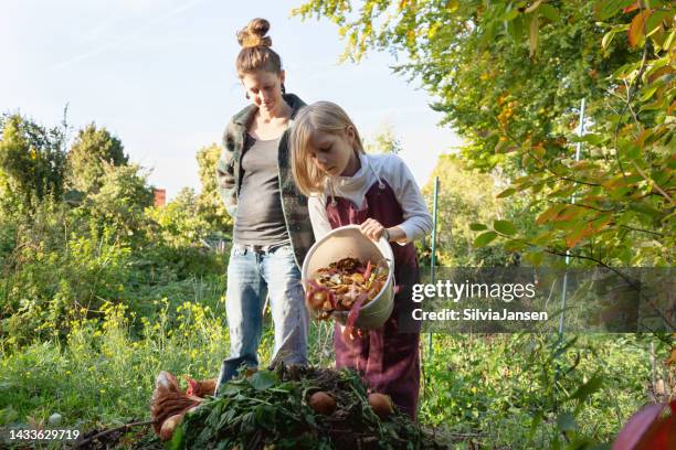 girl empies scraps of vegetables and fruits on compost heap outdoors in garden - compost stockfoto's en -beelden