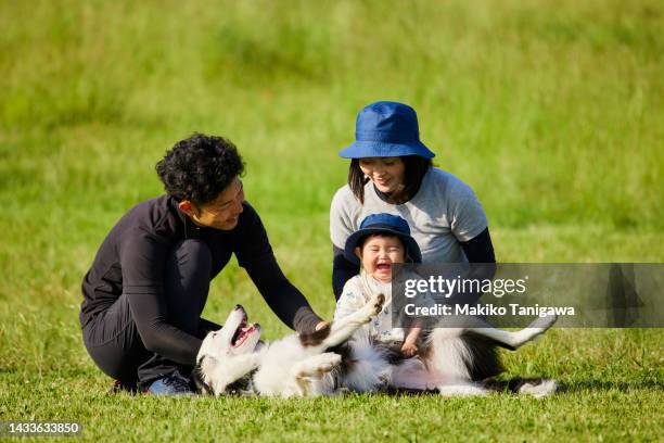 portraits of a family and their dog - dog anticipation stock pictures, royalty-free photos & images