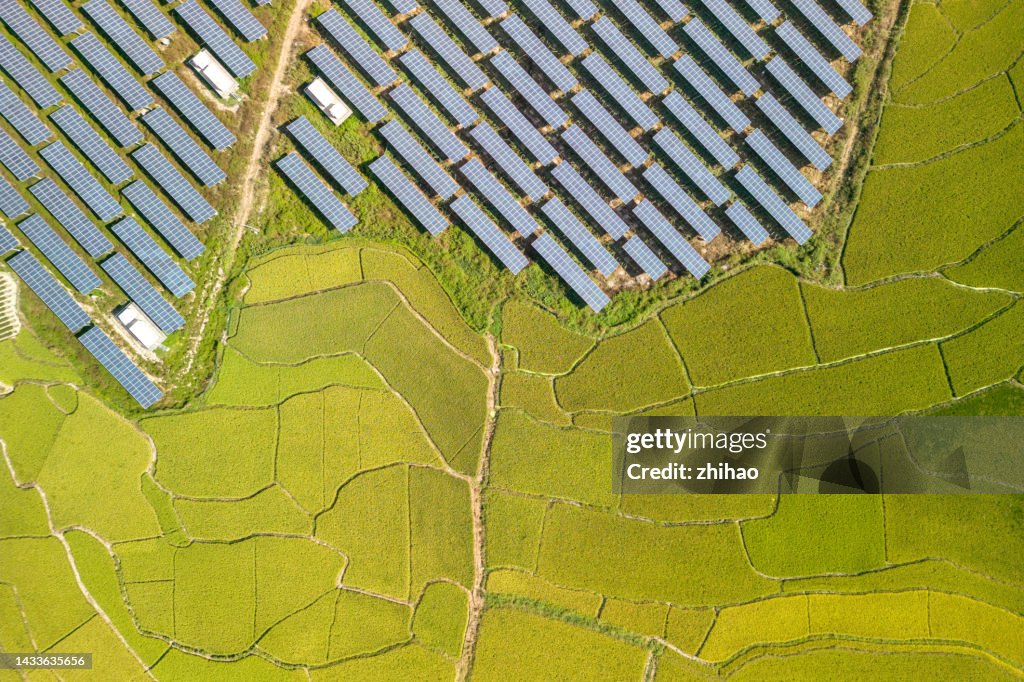 Overlooking farm paddy fields and solar panels