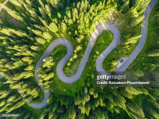 aerial view of a road winding through a dense green forest in dolomites national park, drone panoramic photo of the beautiful mountain pass hidden in the autumnn pine forest with the soft light of the autumn sunset, dolomites alps, south tyrol, italy - strada tortuosa foto e immagini stock