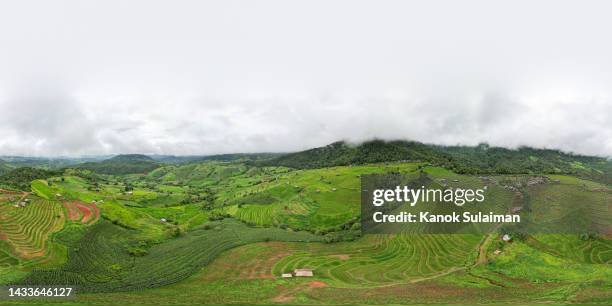 panoramic view of rice terrace field - hdri 360 stock-fotos und bilder