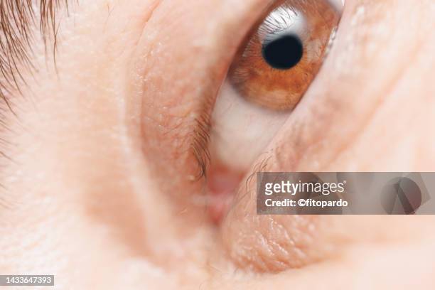 beautiful woman brown eye extreme close up - fitopardo stock pictures, royalty-free photos & images