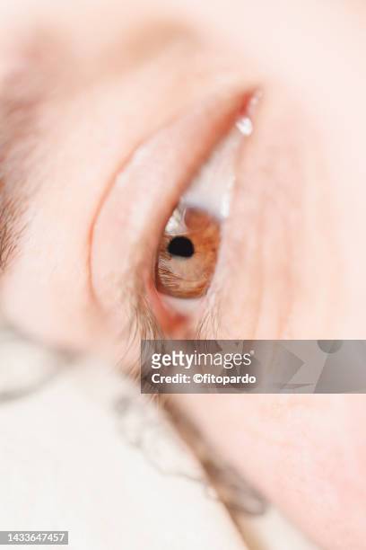 beautiful woman brown eye extreme close up - fitopardo stock pictures, royalty-free photos & images