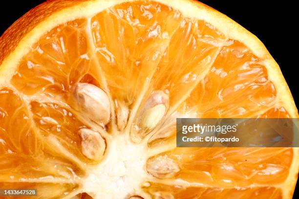 orange fruit in a macro photography shot - fitopardo stock pictures, royalty-free photos & images
