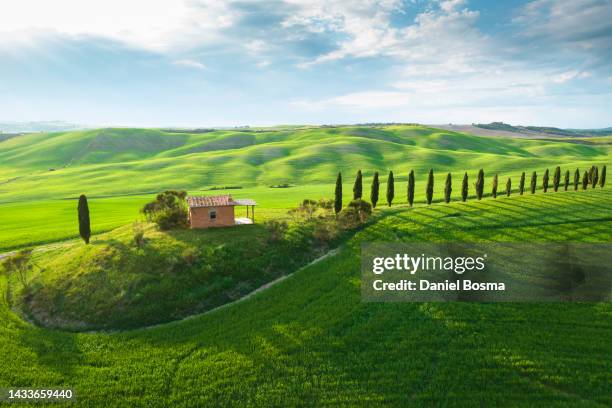 classic tuscan landscape bathing in sunlight, seen from above in the val d'orcia - orcia valley foto e immagini stock