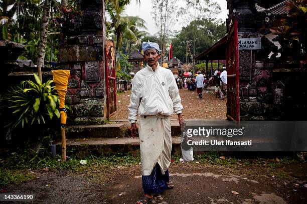 Balinese man leaves the temple carrying his rooster during the sacred 'Aci Keburan' ritual at Nyang Api Temple on February 16, 2012 in Gianyar, Bali,...