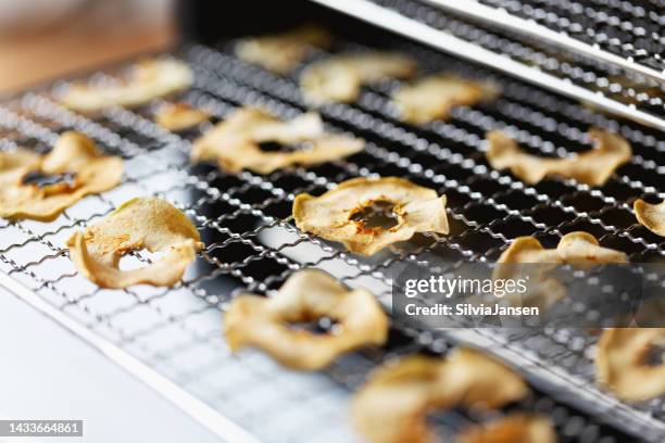 rodajas de manzana seca en bandeja de hidrador - fruta seca fotografías e imágenes de stock