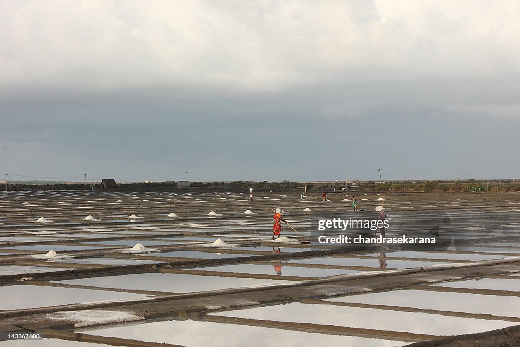 Salt pans