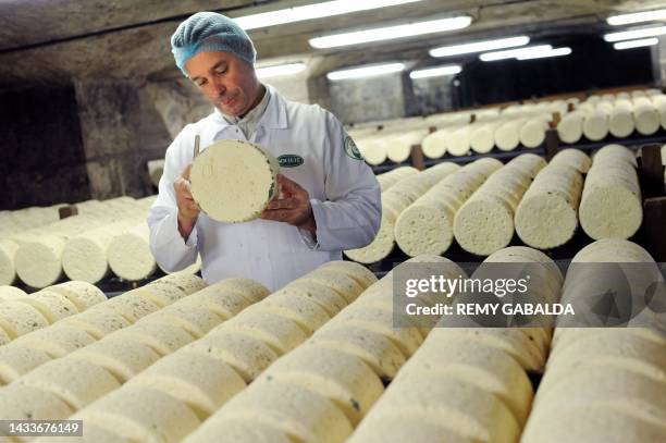 Refiner controls the quality of Roquefort cheeses on January 16, 2009 in a cellar at Roquefort-sur-Soulzon, southern France. French government and...